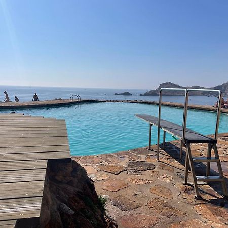 Apartment In Cap Sa Sal Begur Dış mekan fotoğraf